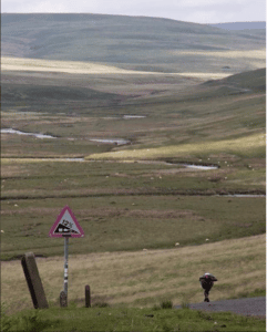 downhill skateboarding in wales