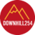 Downhill254 logo