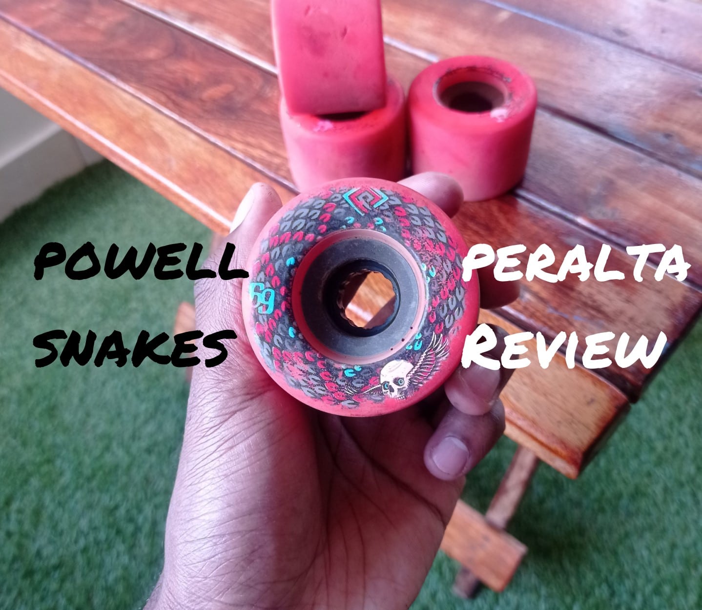 Powell-Peralta Snakes Review - Downhill254